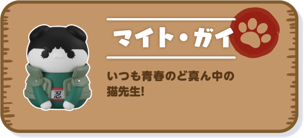 【マイト・ガイ】いつも青春のど真ん中の猫先生！