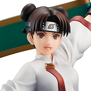 MegaTore Shop 已開始接受NARUTO GALS NARUTO SHIPPUDEN辦的預訂！