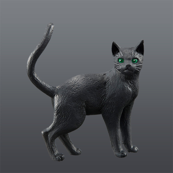 サムネイル画像12