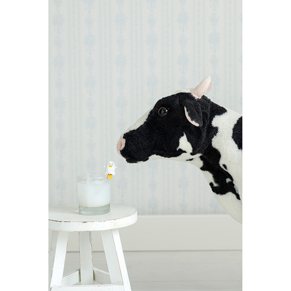 サムネイル画像12