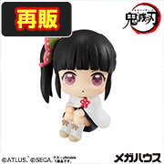 鬼滅の刃 栗花落カナヲ【再販】