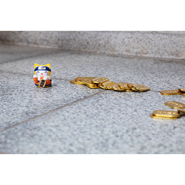 サムネイル画像9