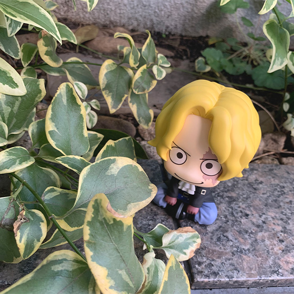 サムネイル画像11