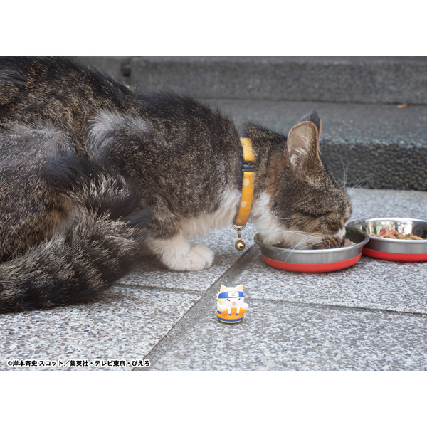 サムネイル画像11