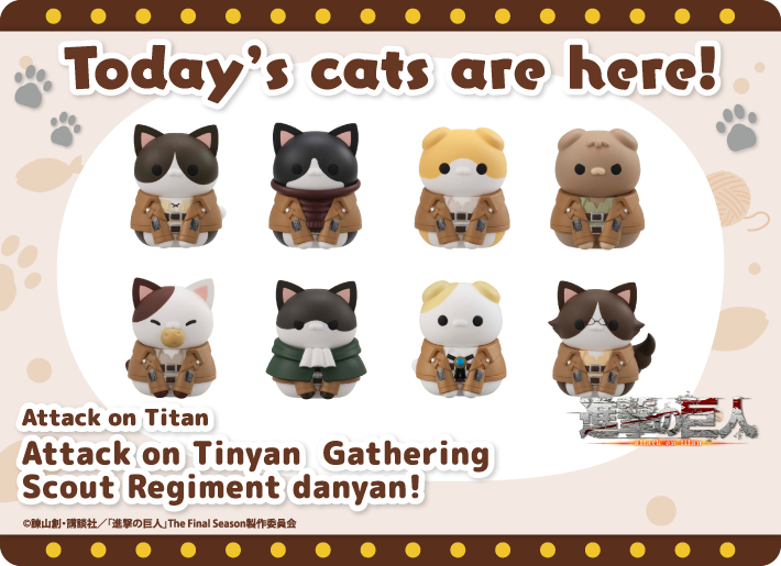 Today's cats are here!